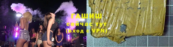 гидра Горнозаводск