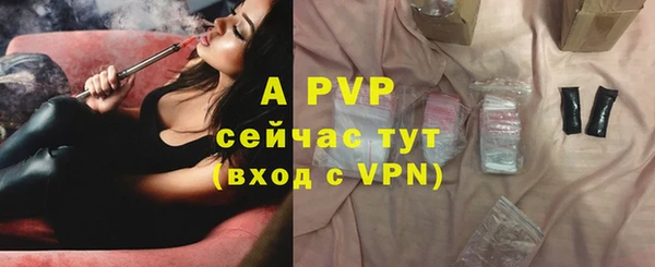 гидра Горнозаводск