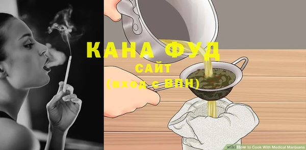 гидра Горнозаводск