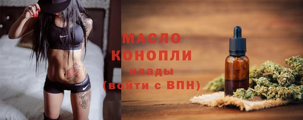 гидра Горнозаводск
