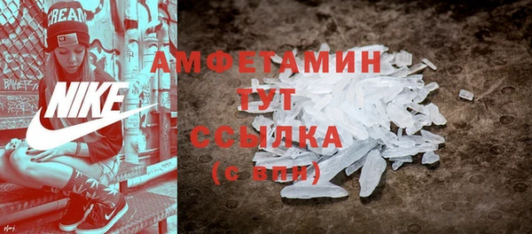 гидра Горнозаводск