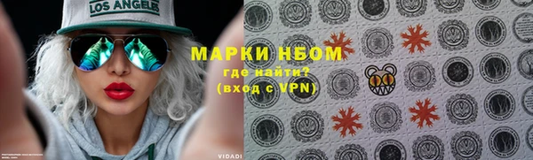гидра Горнозаводск