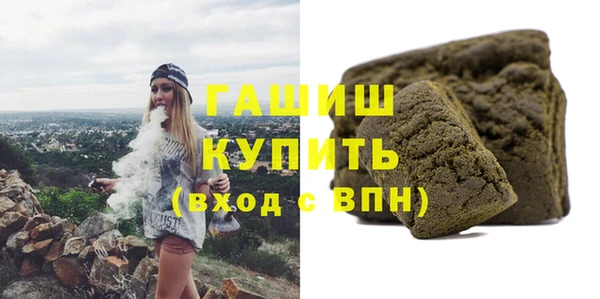 гидра Горнозаводск