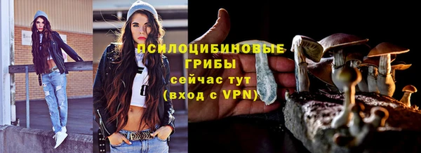 гидра Горнозаводск