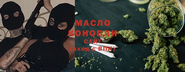 гидра Горнозаводск