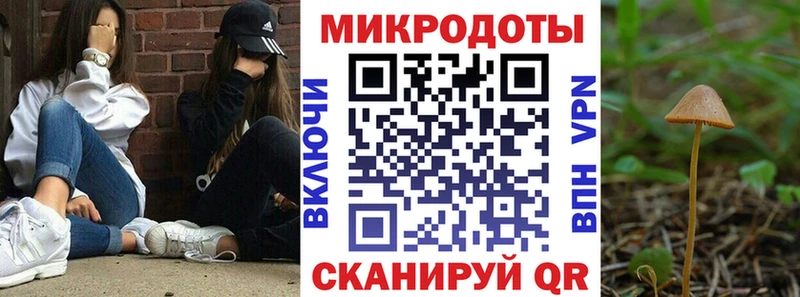 Псилоцибиновые грибы ЛСД  Купить закладки  Полесск 
